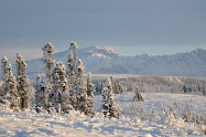 Granite Mountains