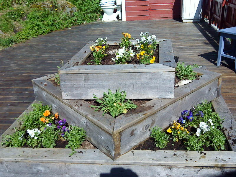 [image-upload-34-789196.jpg]