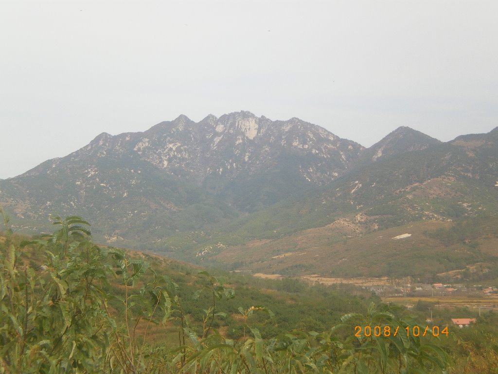 [IMGP0366.JPG]