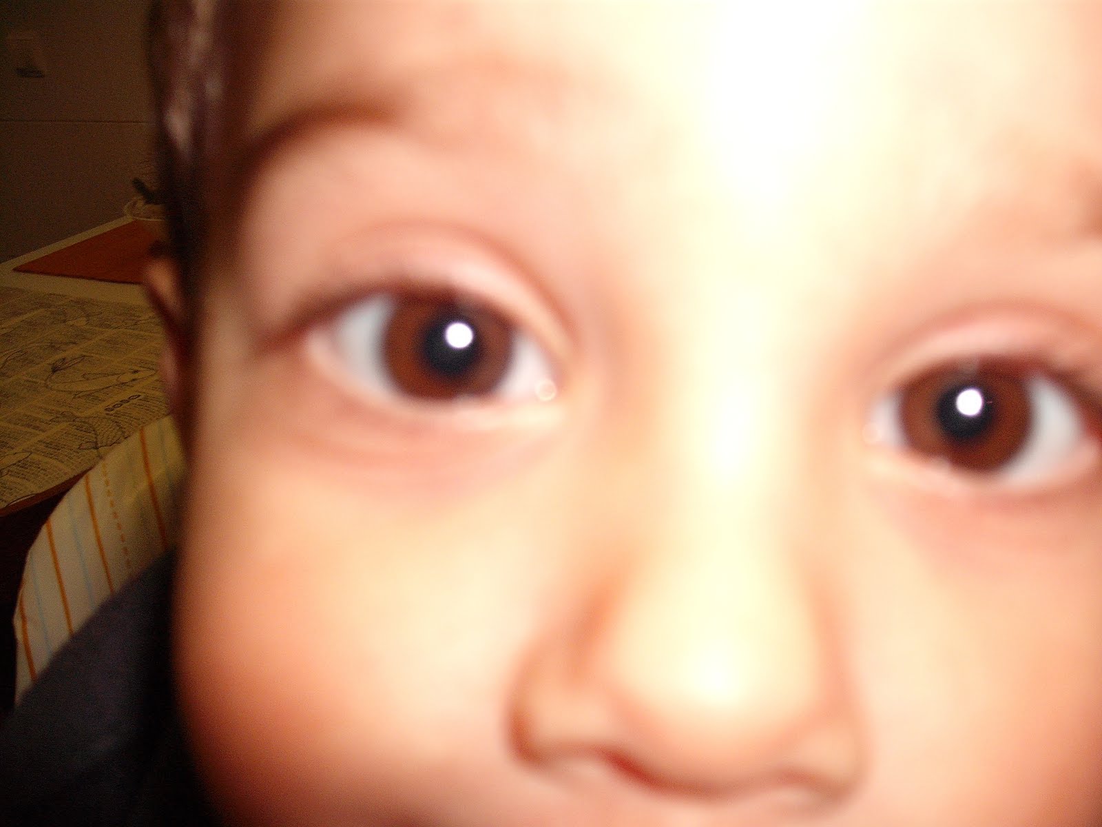 [2+anos+-Rodrigo+(32).jpg]