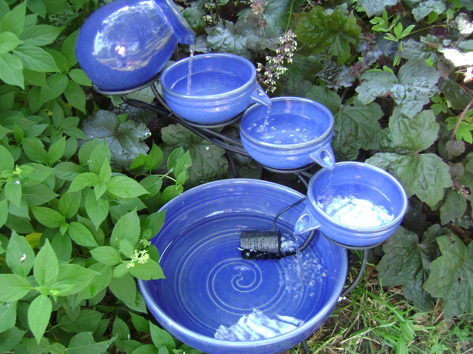 Prairie Rose's Garden: I've Got It Made in the Shade