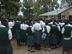 Morning Parade at Pope Paul VI