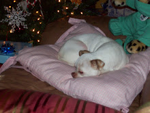 Ginger-Snap Napping