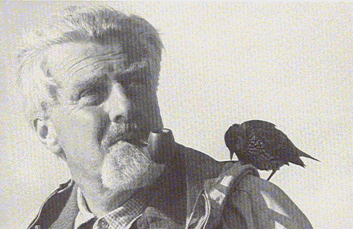 Konrad Lorenz Geese