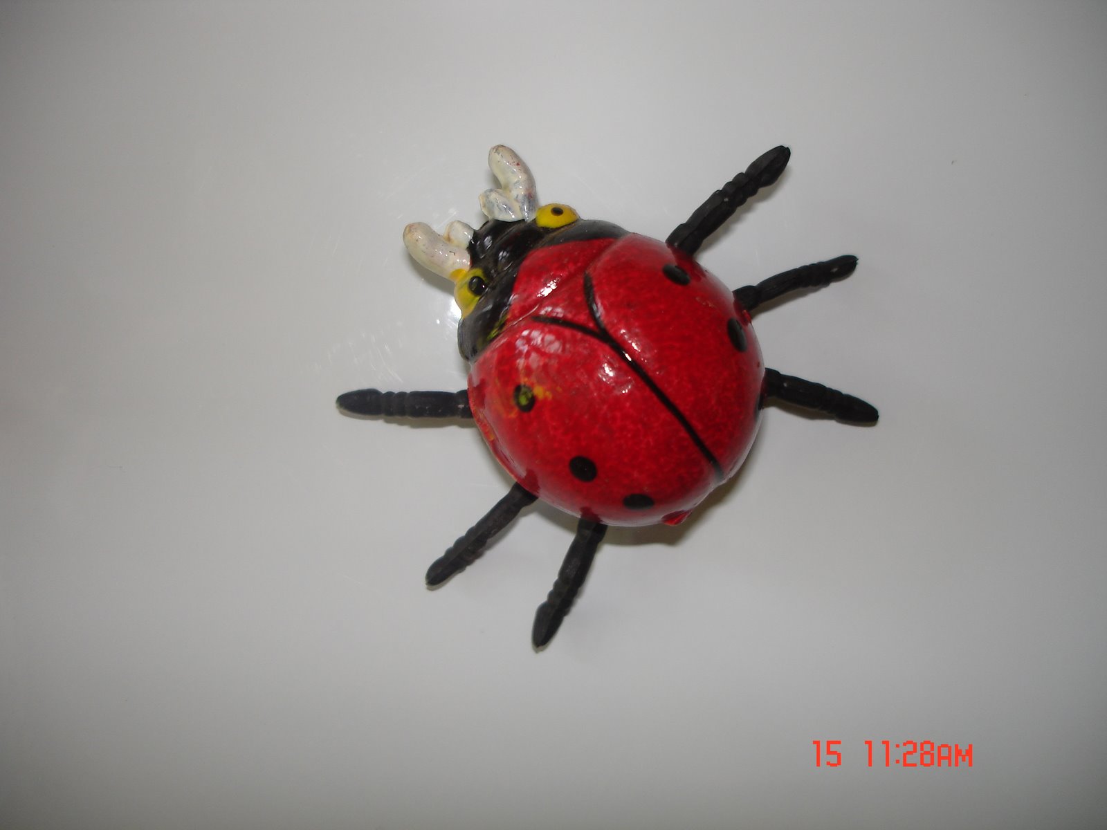 [DSC00116.JPG]