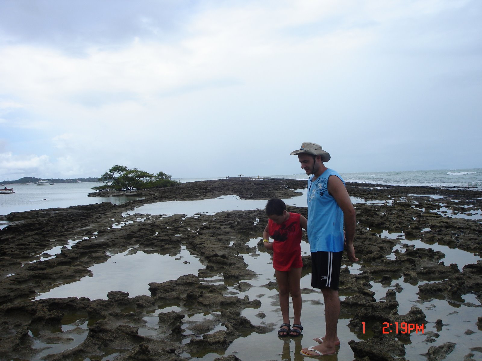 [DSC00174.JPG]