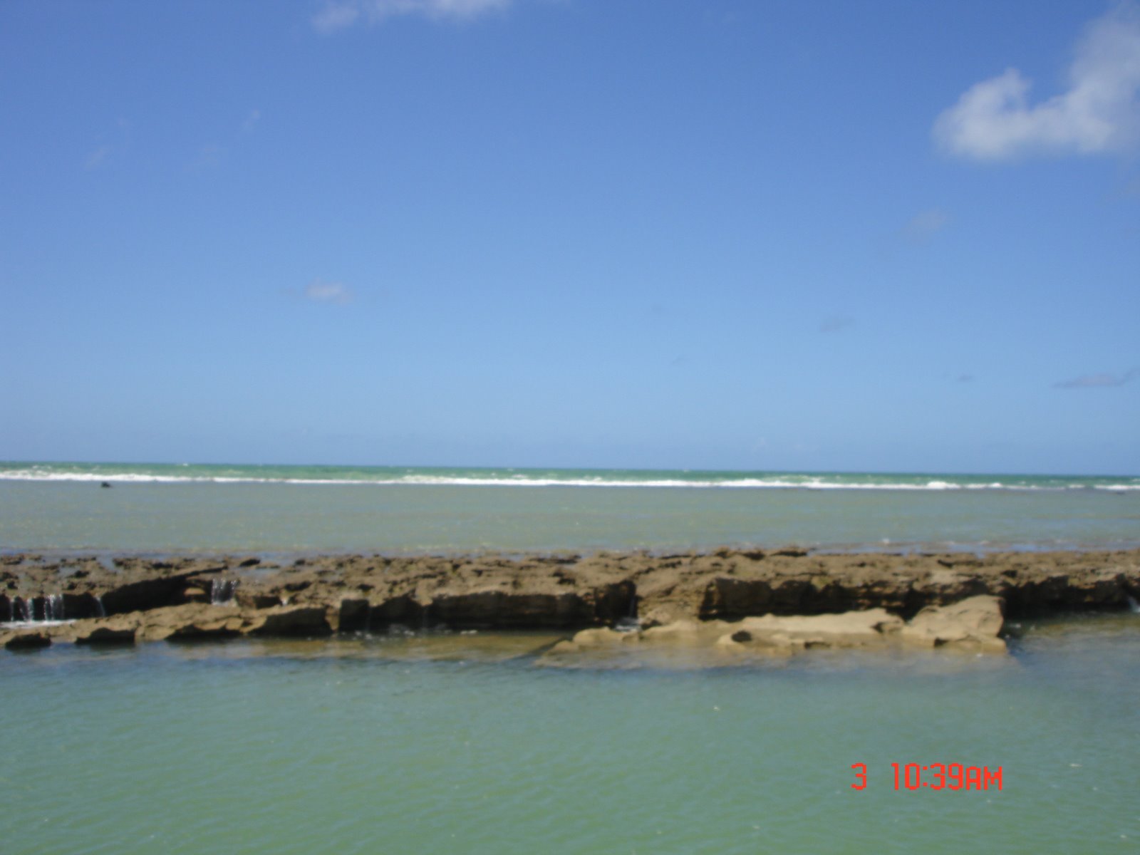 [DSC00131.JPG]