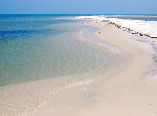 [465406115_bbefd7ab90.jpg]