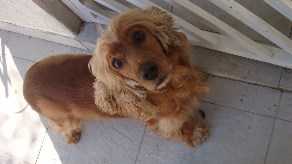 [3504973672_35941304c8_b.jpg]