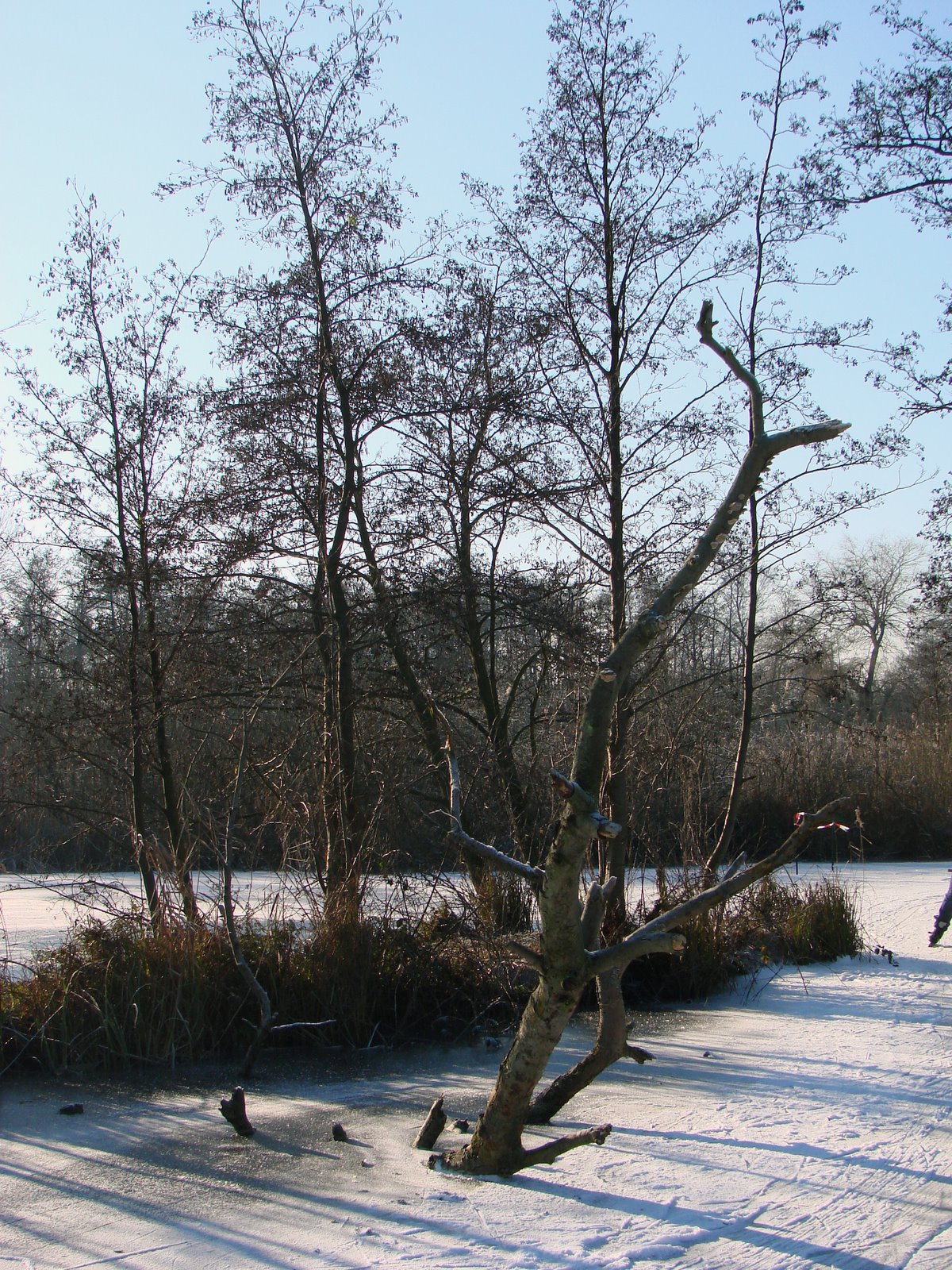 [DSC07932.jpg]