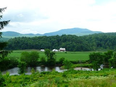 View From Camp Mooseberry