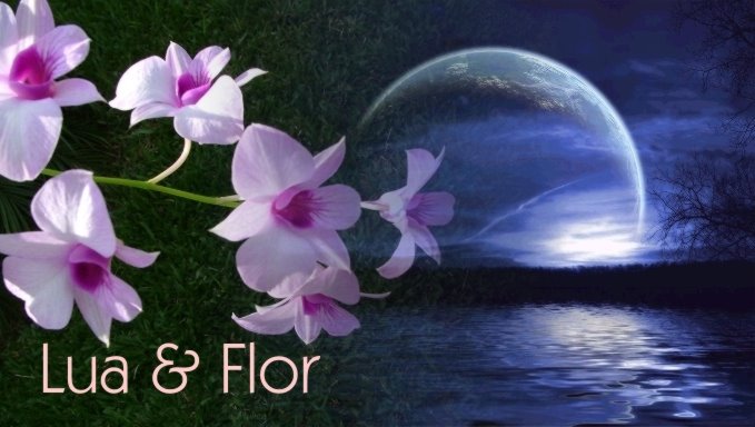 LUA & FLOR
