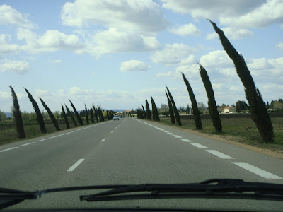 route nationale cyprès