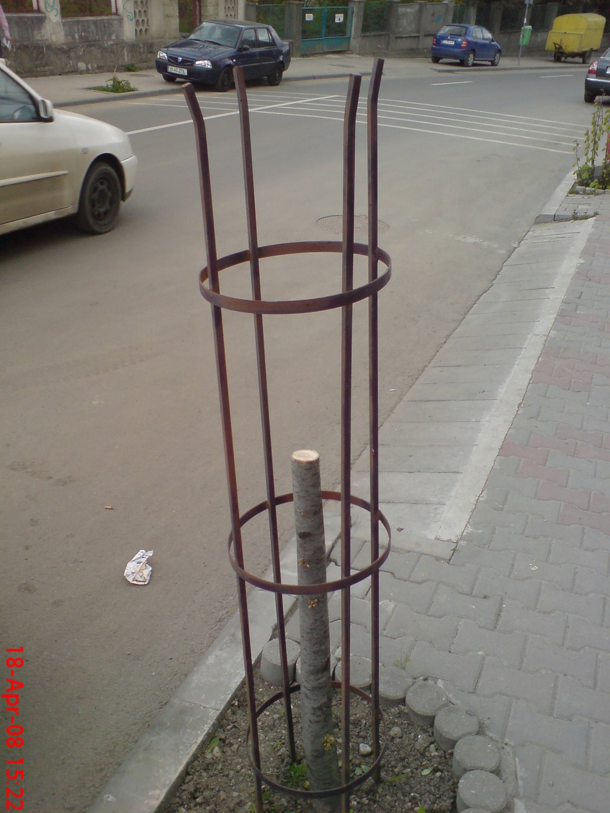 [DSC02566.JPG]