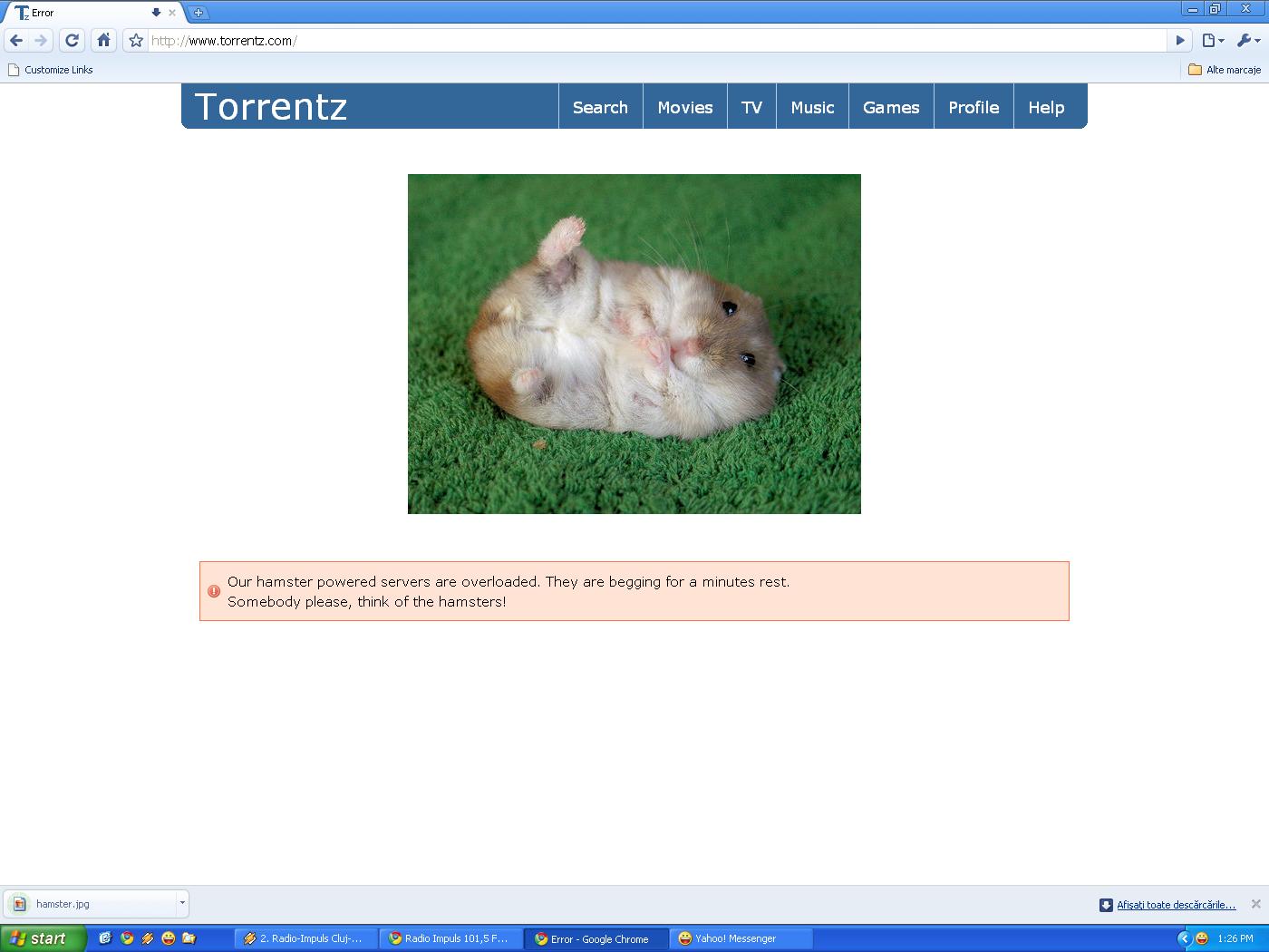 [printscreen.JPG]