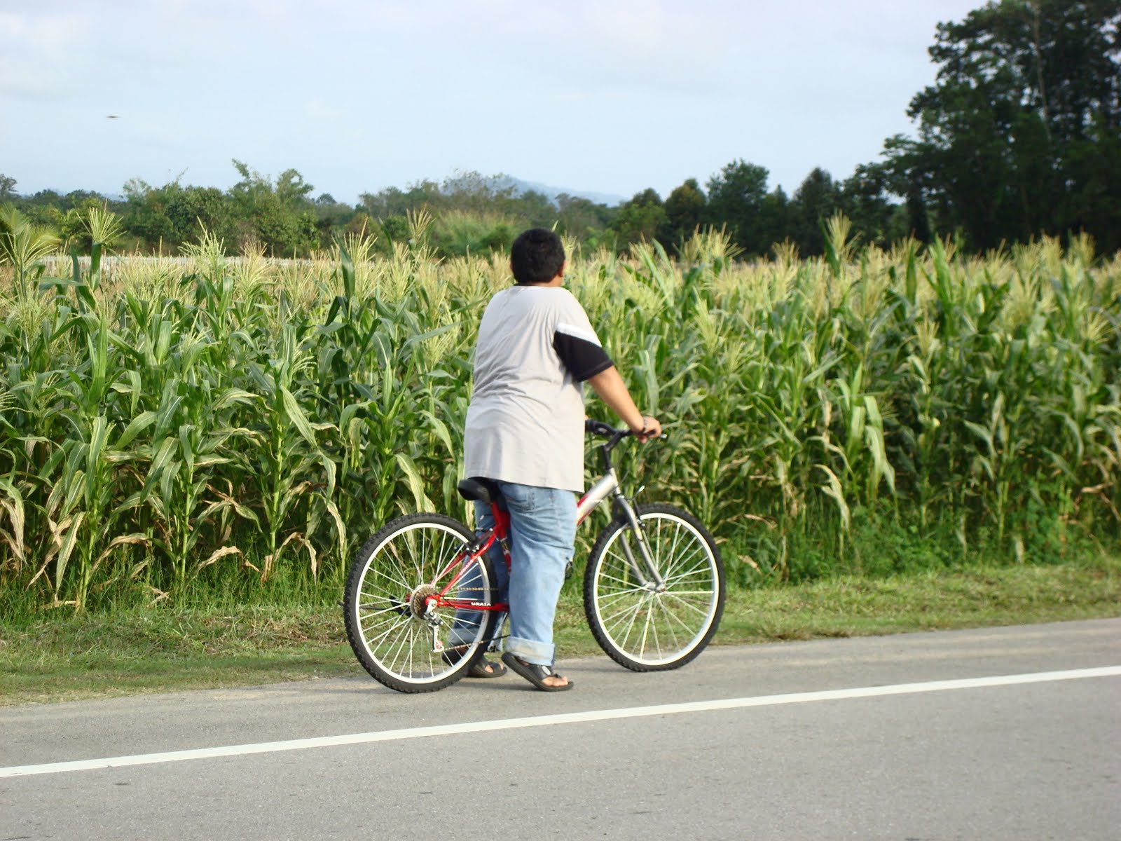 [cycling.JPG]