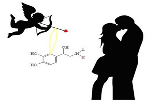 Beijo: uma química muito saudável – NeuroTeen