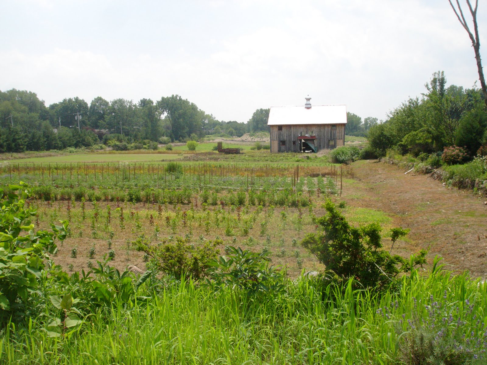 The Vegan Good Life Support New Jersey Farms