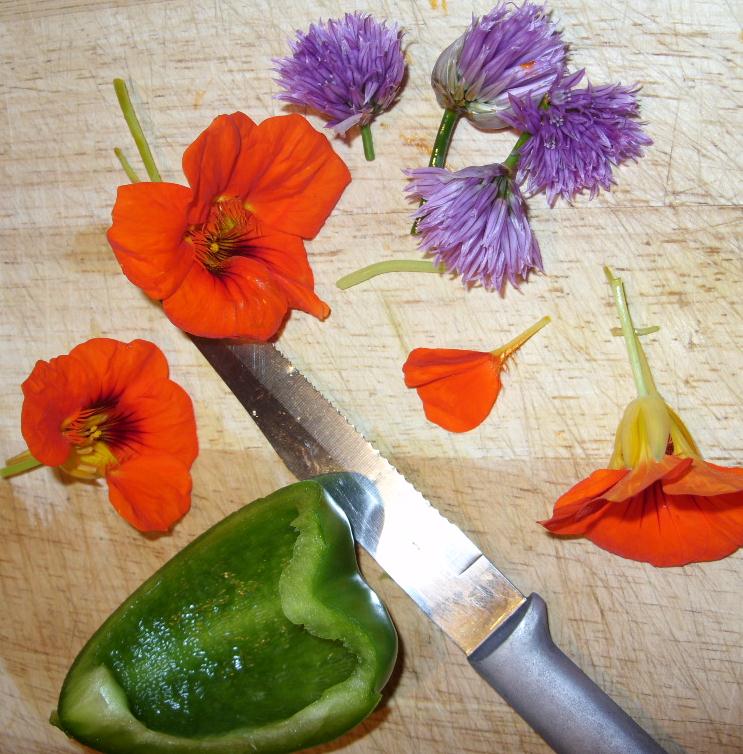 Kelli's Northern Ireland Garden Edible Flowers