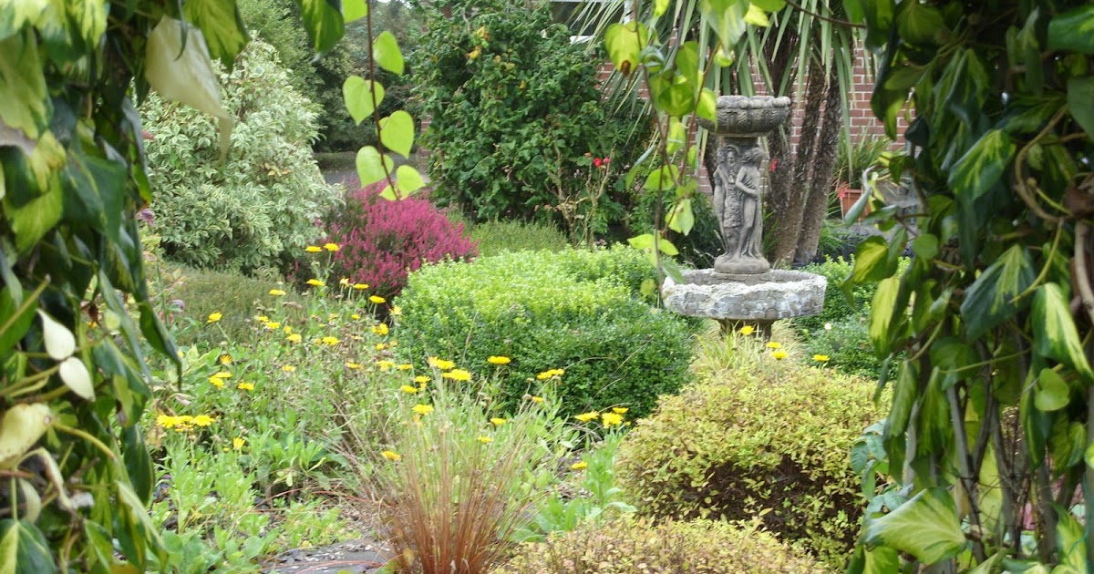 Kelli's Northern Ireland Garden My Garden