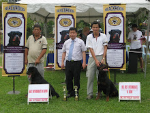 14th rottweiler show