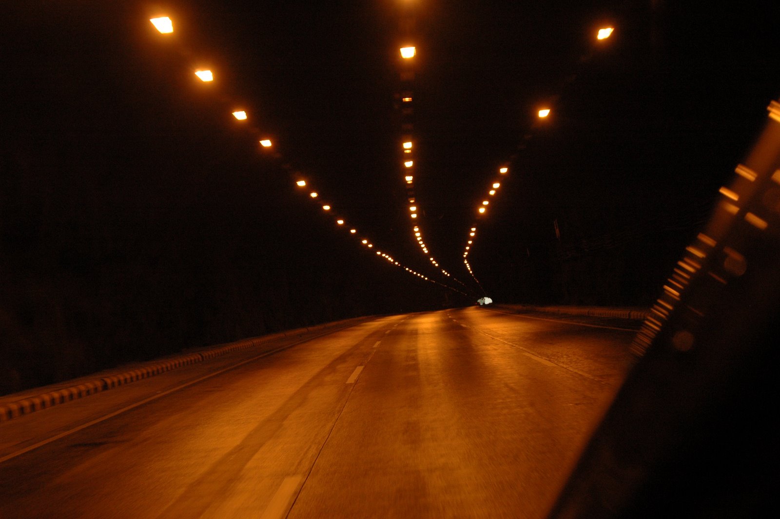 [DSC_0146.JPG]