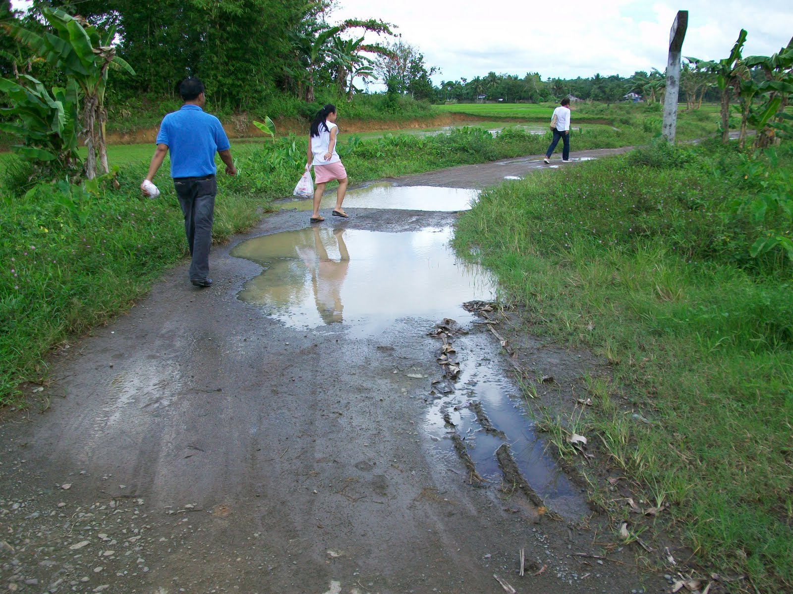 Dao Capiz