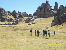 VISITE "EL BOSQUE DE PIEDRAS"