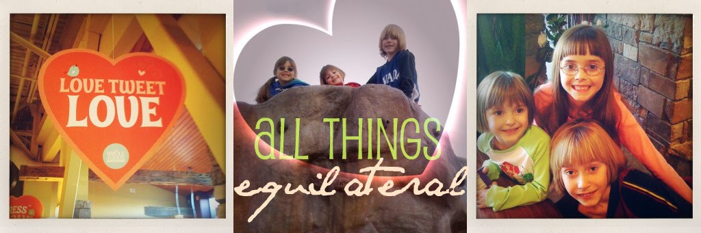 All Things Equilateral