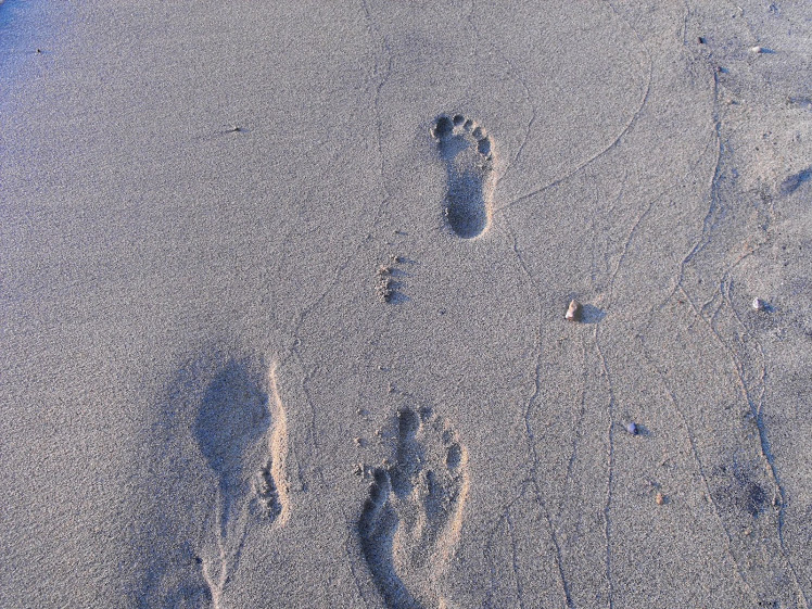 Footprints in the sand