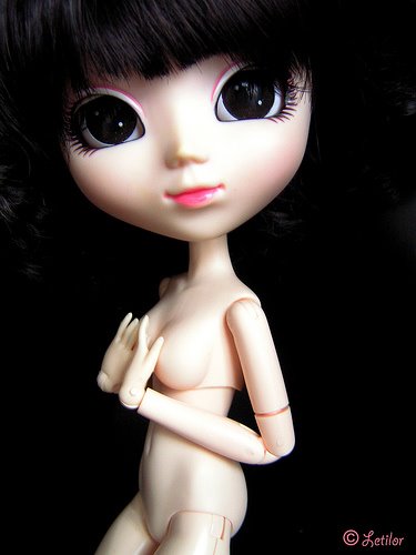 [3154021322_feb0a1edc7.jpg]