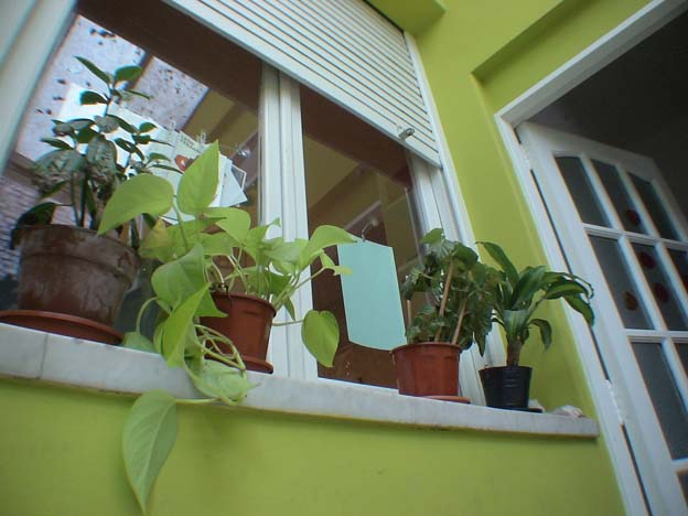 [patio+int+web.jpg]