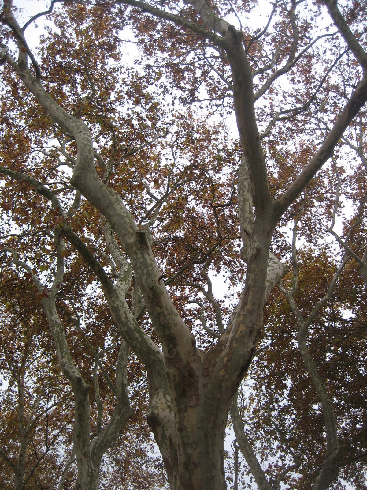 [IMG_8504.JPG]