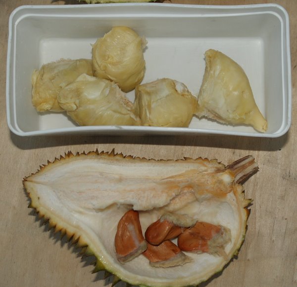 [Durian+seeds.JPG]