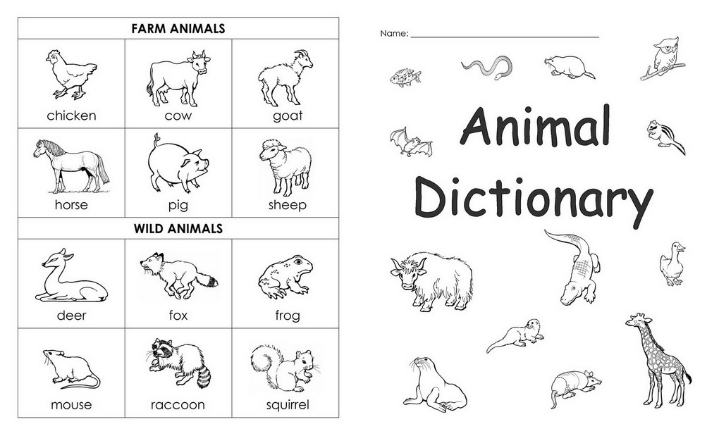 English For Kid Animals Animal dictionary for students
