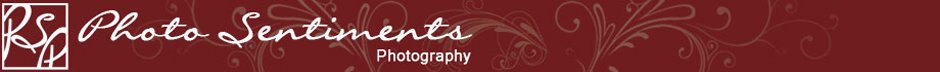 Photo Sentiments Photography