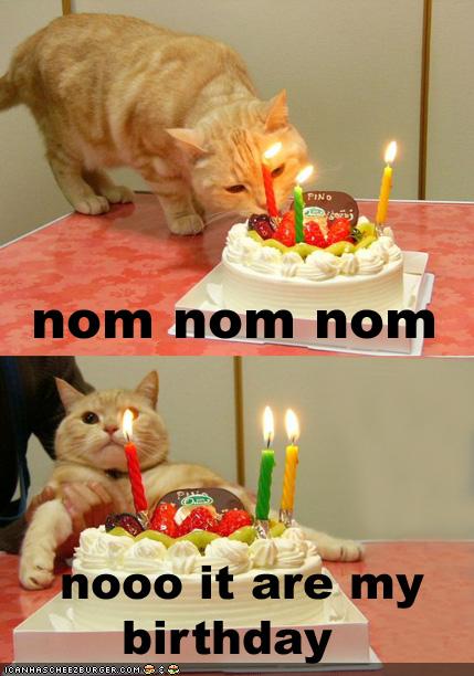 Posted in Birthday, Cats, Funny Stuff funny birthday kitten