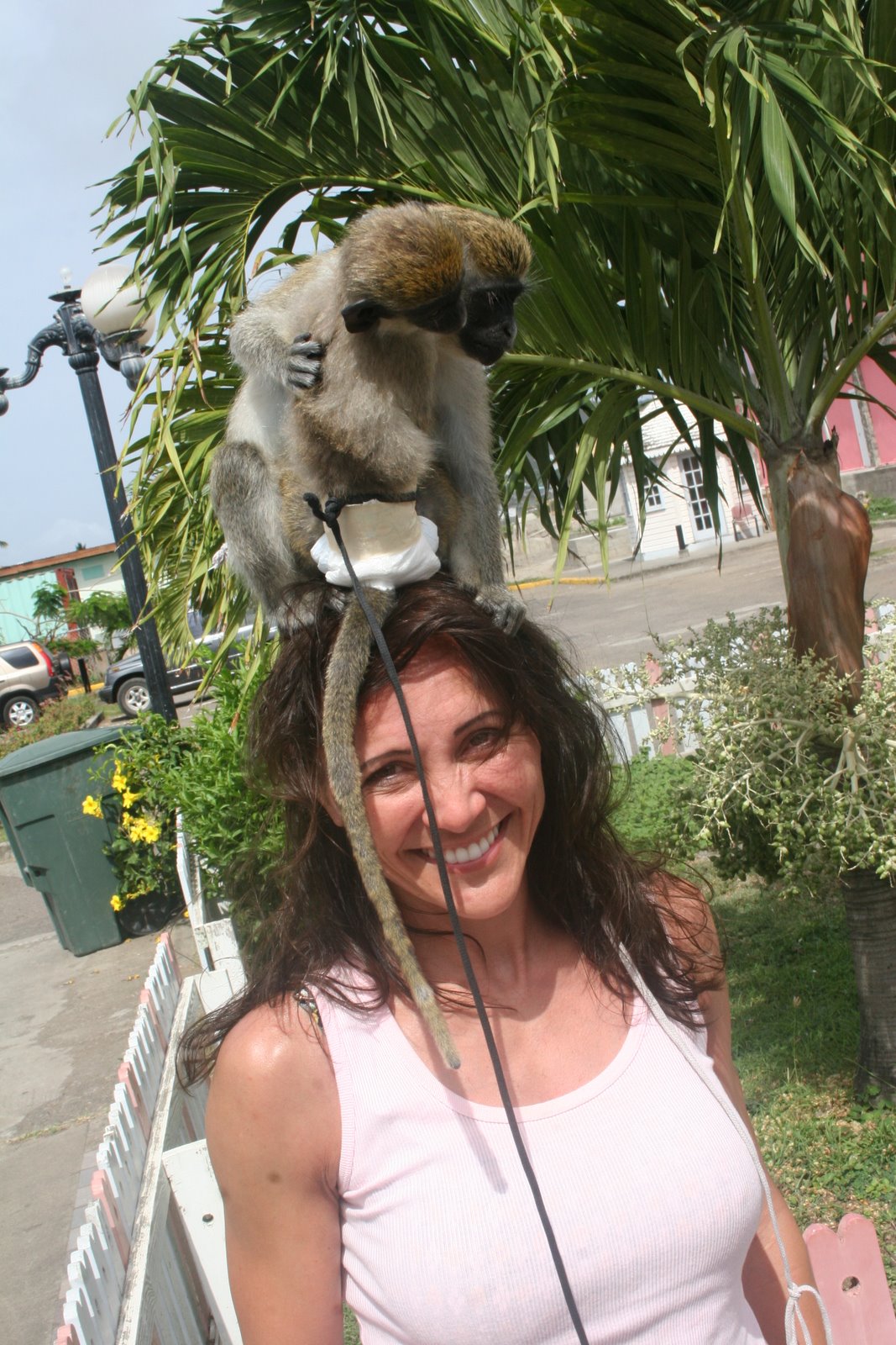 [IMG_4595.JPG]