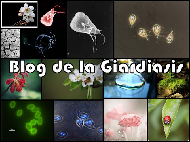 Giardiasis