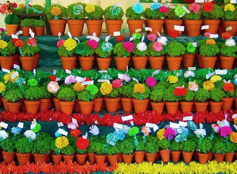 [4-OlhoManjerico.jpg]