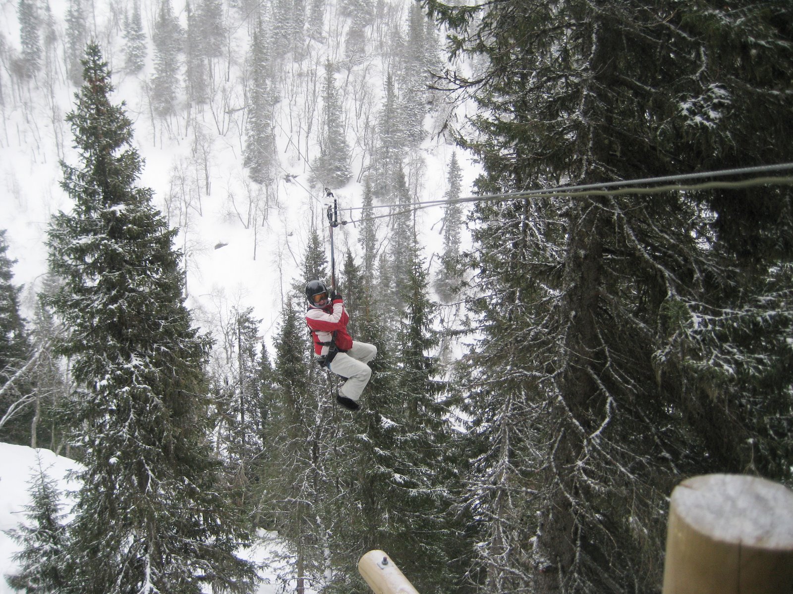 [zipline+8.jpg]