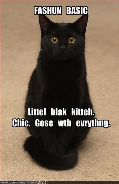 [funny-pictures-a-little-black-cat-goes-with-everything.jpg]