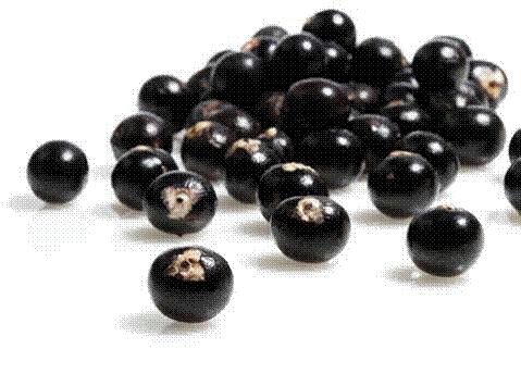 [acai-berry.jpg]
