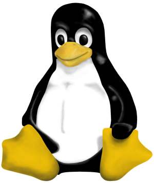 [linux-penguin.jpg]