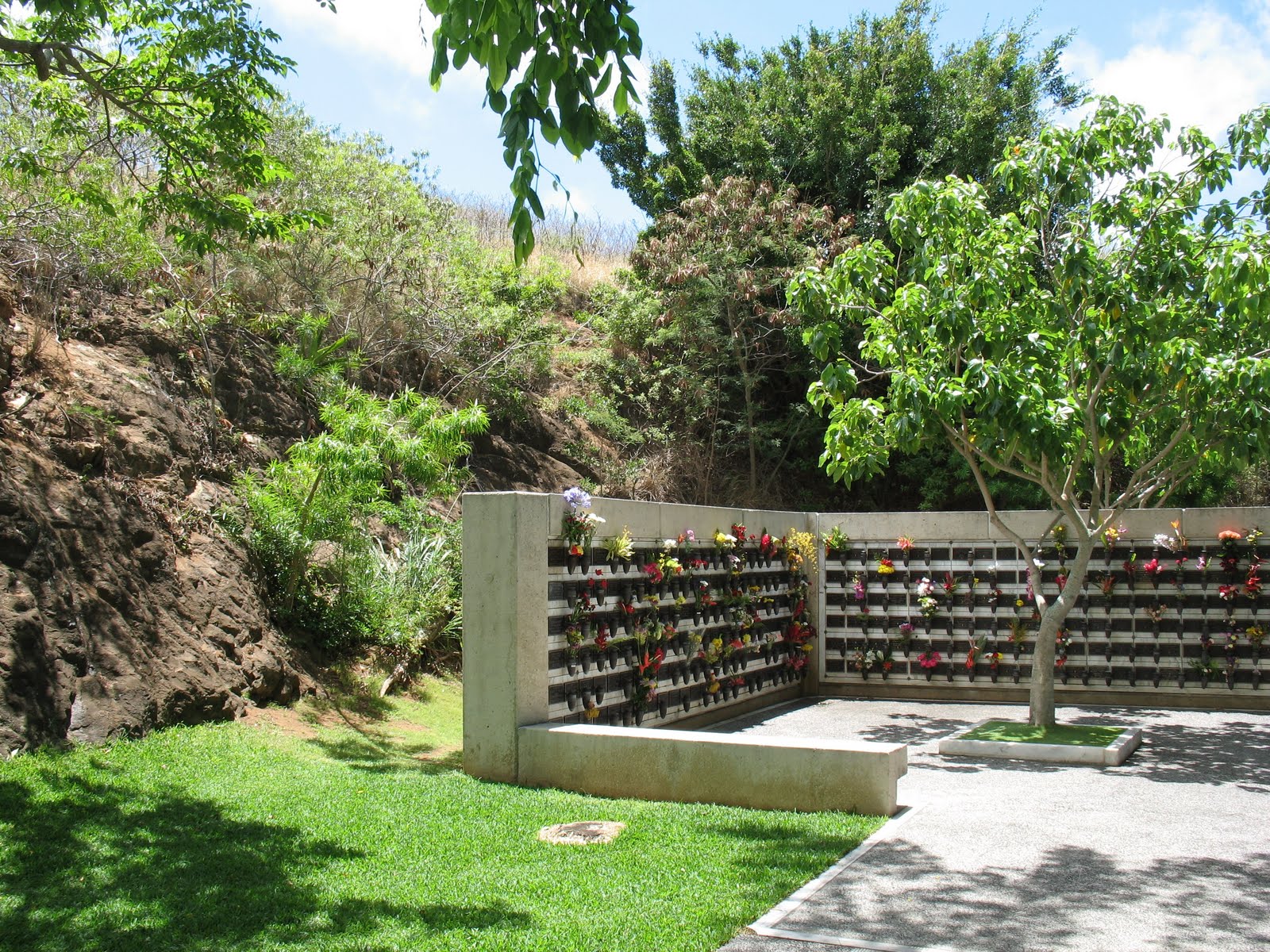 Views by the Bay Punchbowl