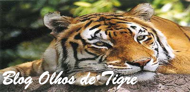 Blog Olhos de Tigre
