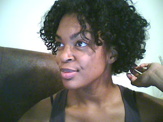 Twist N Curl Show Tell Curlynikki Natural Hair Care