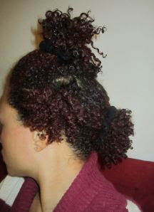 The Multi Pineapple For Short Hair Curlynikki Natural Hair Care