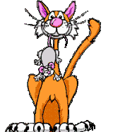 [gato17.gif]