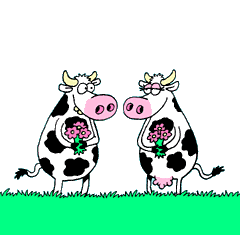 [vaca12.gif]